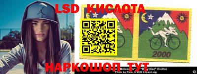 стаф Берёзовский