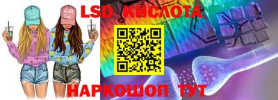 стаф Берёзовский