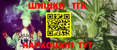 СК Бийск