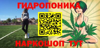 стаф Берёзовский