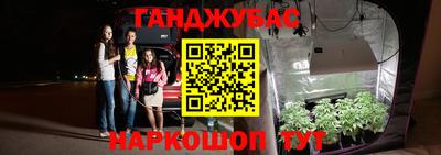 стаф Берёзовский