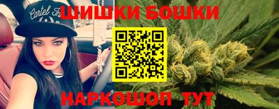 СК Бийск