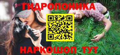 стаф Берёзовский