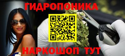 спайс Владимир