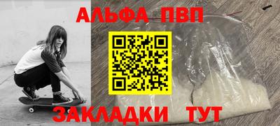 СК Бийск