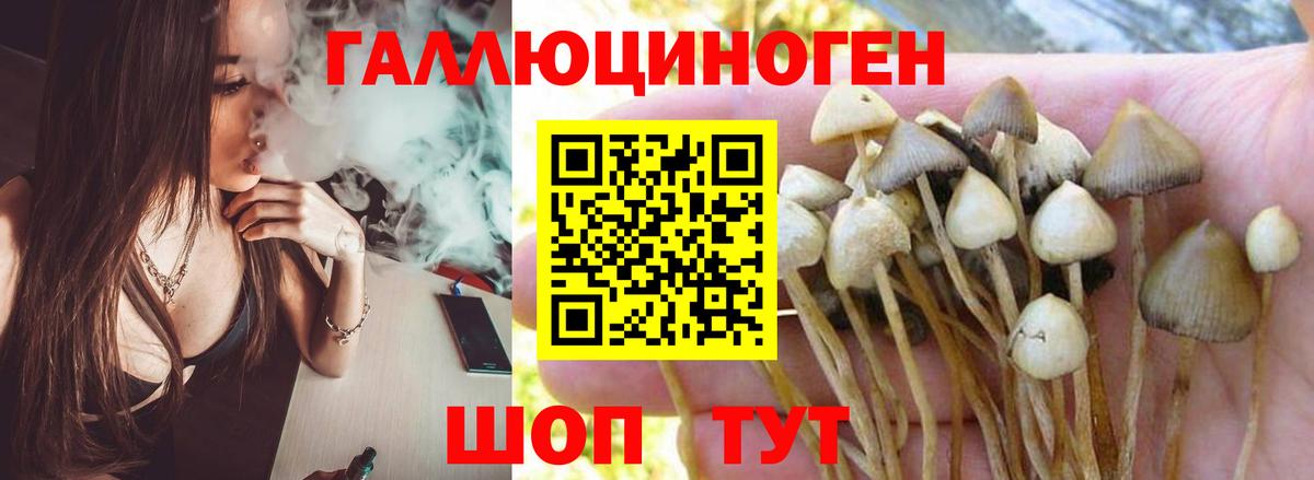 Псилоцибиновые грибы прущие грибы  Вход с VPN  где можно купить   Воронеж 